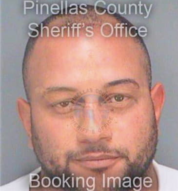 Rivera Victor - Pinellas County, FL 