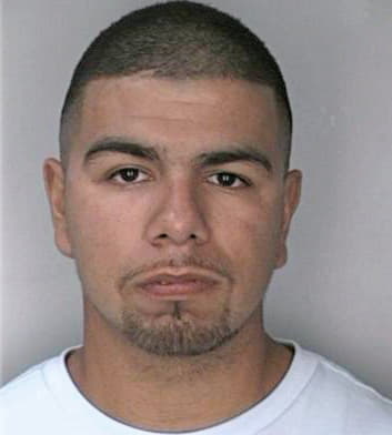 Bocanegra Martin - Hillsborough County, FL 