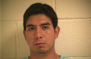 Delgado Rene - Hidalgo County, TX 