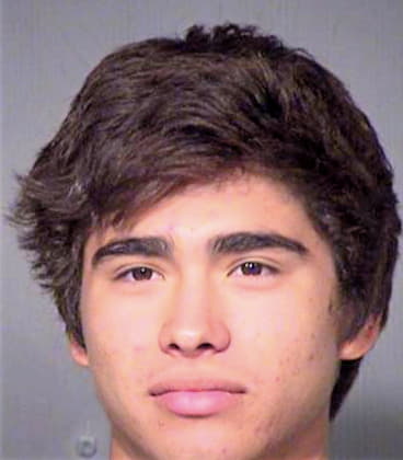 Luischristoparzaga Eduardo - Maricopa County, AZ 