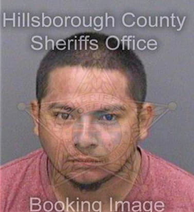 Ortegaacevedo Cristian - Hillsborough County, FL 