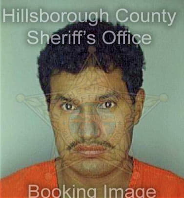 Pantojachavez Rigoberto - Hillsborough County, FL 