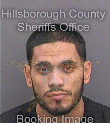 Jimenez Jaime - Hillsborough County, FL 