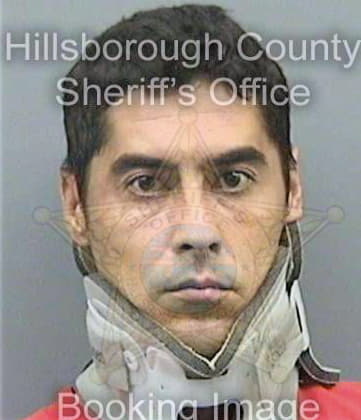 Villalba Hugo - Hillsborough County, FL 