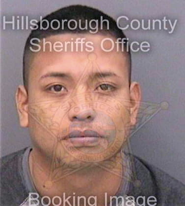 Salasperez Ervin - Hillsborough County, FL 