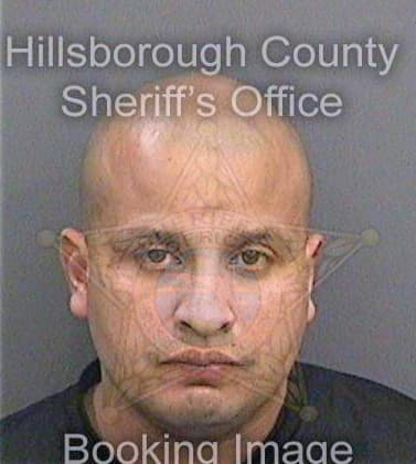 Silva Saul - Hillsborough County, FL 