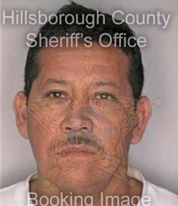 Garcia Gerardo - Hillsborough County, FL 