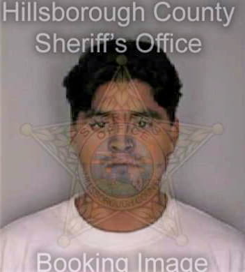 Hernandezjimenez Juan - Hillsborough County, FL 