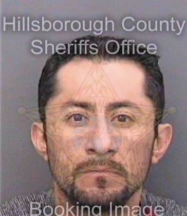 Martinezlopez Ricardo - Hillsborough County, FL 