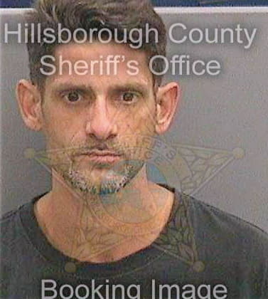 Sanchez Teodoro - Hillsborough County, FL 