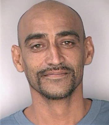 Medina Jose - Hillsborough County, FL 