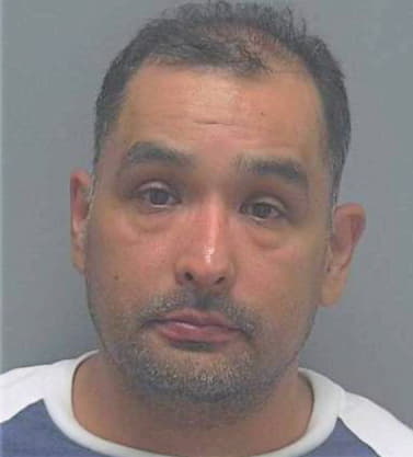 Hernandez David - Lee County, FL 