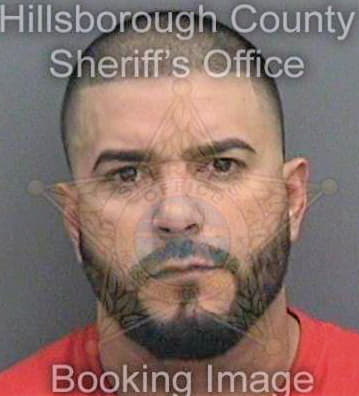 Delgado Rene - Hillsborough County, FL 