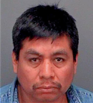 Martinperez Genaro - Pinellas County, FL 