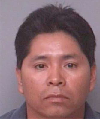 Pascual Jose - Pinellas County, FL 