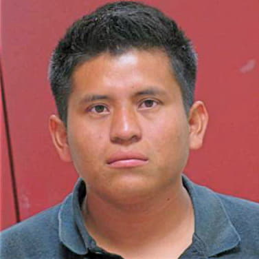 Mendez Daniel - Rhea County, TN 