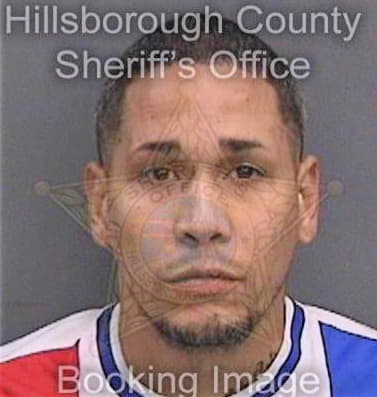 Castrogarcia Henry - Hillsborough County, FL 