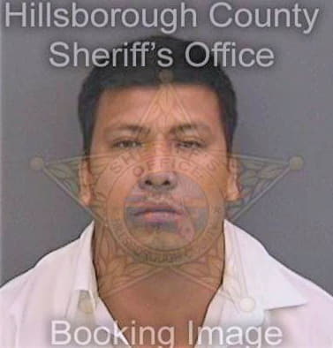 Calvohernandez Francisco - Hillsborough County, FL 