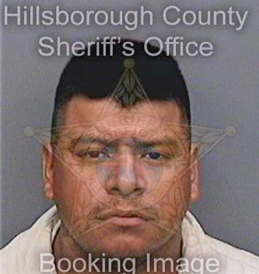 Guerrerosanchez Miguel - Hillsborough County, FL 