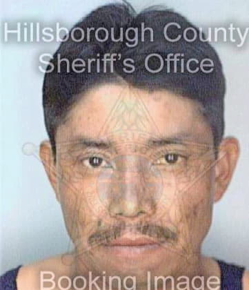 Negron Omar - Hillsborough County, FL 