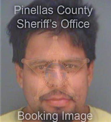 Flores Ramiro - Pinellas County, FL 