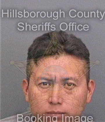 Bautistacantoran Heriberto - Hillsborough County, FL 