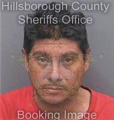 Lemuspedraza Santiago - Hillsborough County, FL 