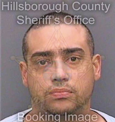 Cintron Steven - Hillsborough County, FL 