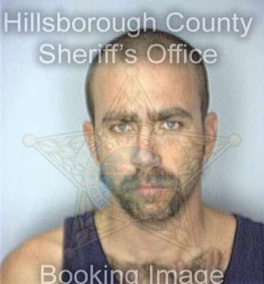 Mcdaniel Steven - Hillsborough County, FL 