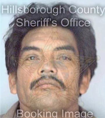 Mendozatorres Aurelio - Hillsborough County, FL 