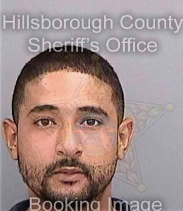 Deprospo John - Hillsborough County, FL 