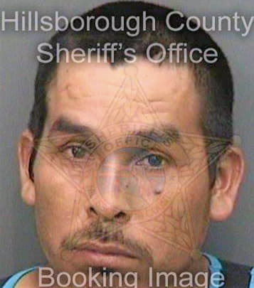 Ramirezenriquez Saul - Hillsborough County, FL 