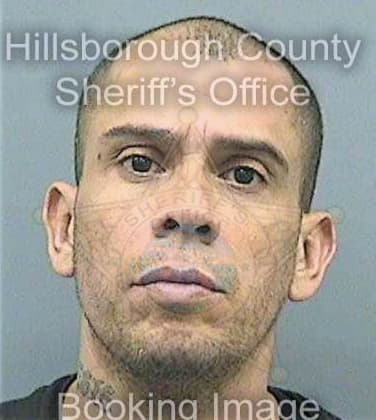 Rivera Ernesto - Hillsborough County, FL 