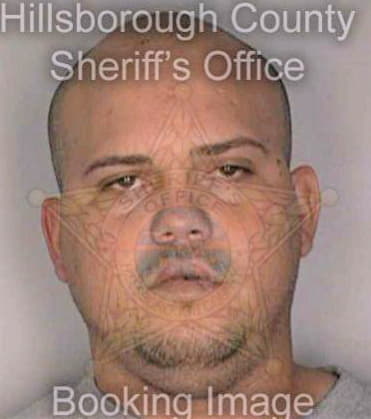 Garcia Pedro - Hillsborough County, FL 