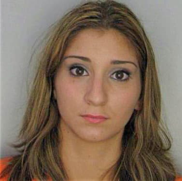 Perez Damaisy - Hillsborough County, FL 