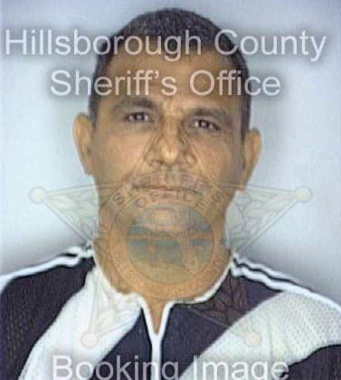 Gonzalez Guillermo - Hillsborough County, FL 