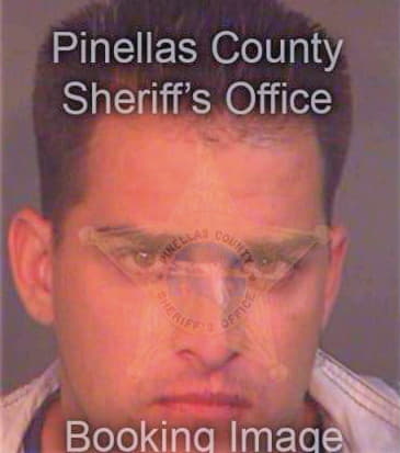 Michel Jason - Pinellas County, FL 