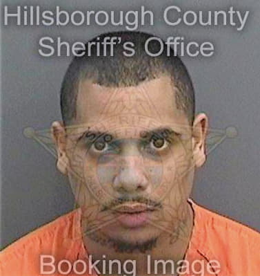 Lopez Charles - Hillsborough County, FL 