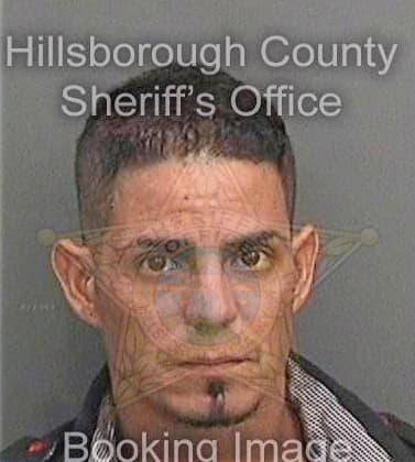 Hernandezdelgado Yosbel - Hillsborough County, FL 