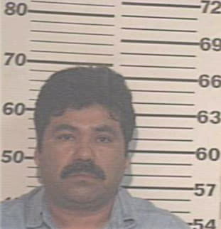 Gomez Daniel - Hidalgo County, TX 