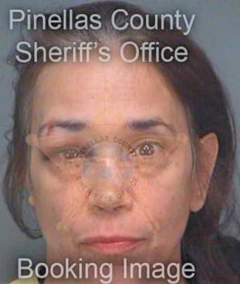 Marschke Roxanne - Pinellas County, FL 