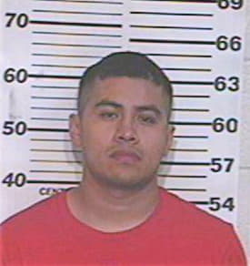 Delgado Carlos - Hidalgo County, TX 