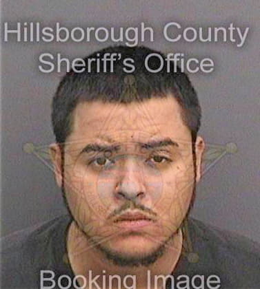 Ramirez Carlos - Hillsborough County, FL 