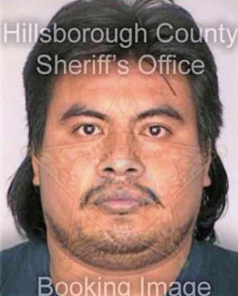 Martinez Armando - Hillsborough County, FL 