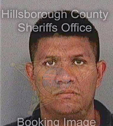 Lopez Cesar - Hillsborough County, FL 