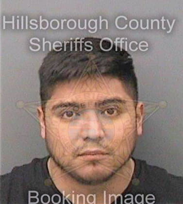 Barriga-Sanchez Luis - Hillsborough County, FL 