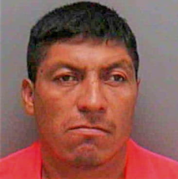 Hernandez Luis - Lee County, FL 