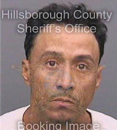 Brito Paul - Hillsborough County, FL 