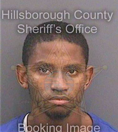 Lewis Brandon - Hillsborough County, FL 