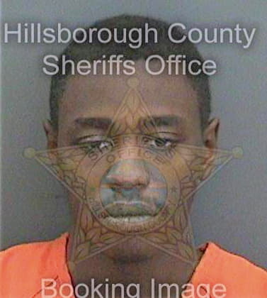 Simpson Joshua - Hillsborough County, FL 